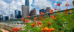 Orange flowers along bridge in front of downtown Austin, Texas